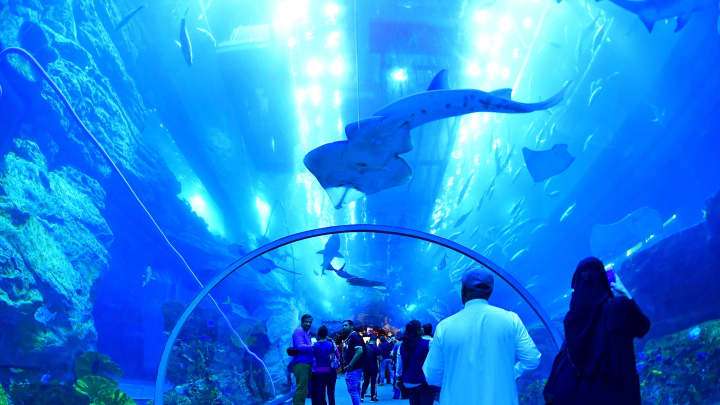 Deepest Pool in the World