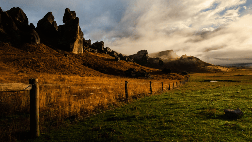 Best Time to Visit New Zealand