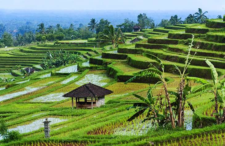 Best Travel Destinations in Indonesia