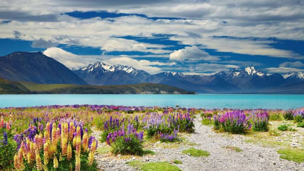 best places to visit in new zealand