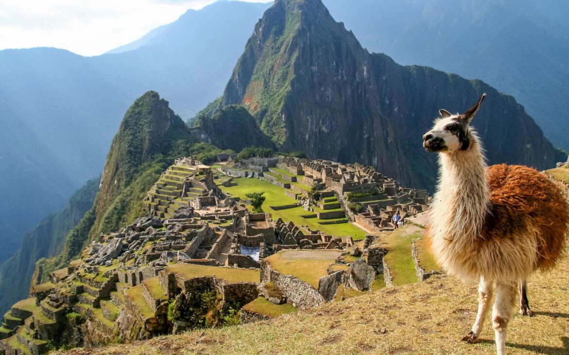 Machu Picchu