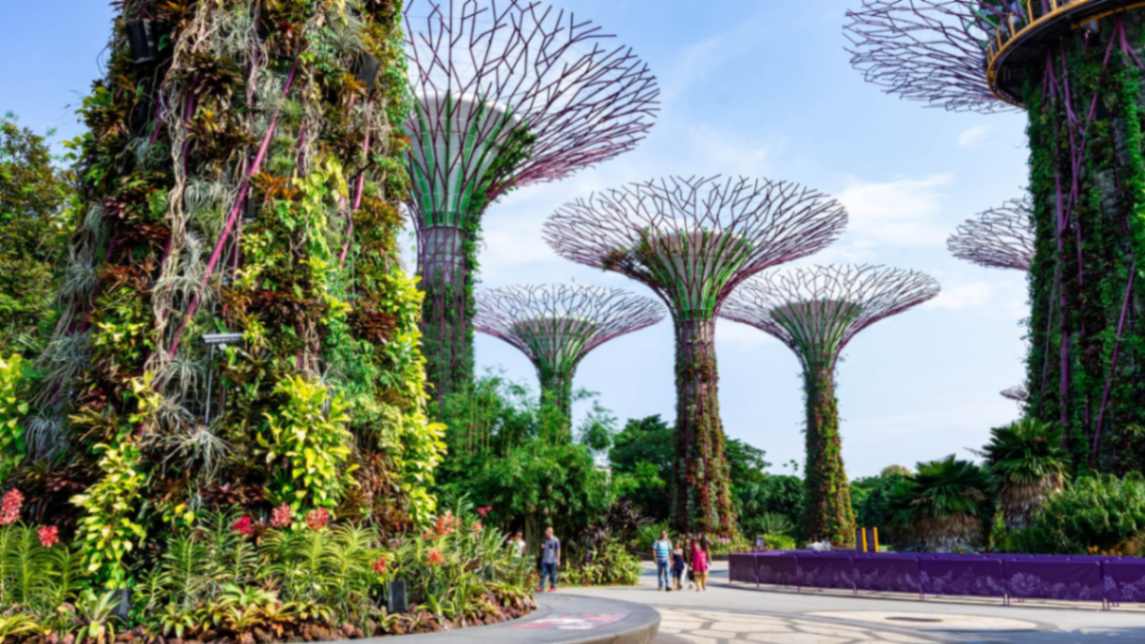 Places to Visit in Singapore